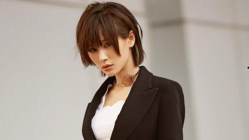 搞笑男明星爆料大全视频,笑料百出！搞笑男明星爆料大全视频精彩集锦